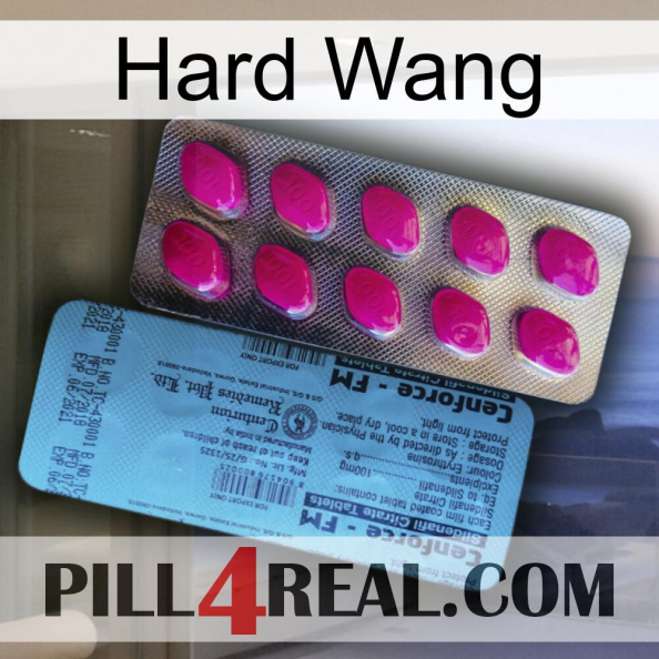 Hard Wang 35.jpg